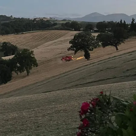 Casa Mimose Rosa